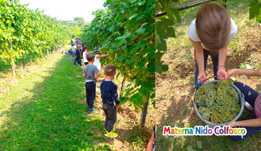 Adottiamo un filare - Materna Nido Colfosco di Susegana